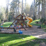 A playground with swings and slides in the woods.